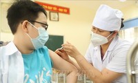 この24時間で、ベトナムで900人の新規感染者 確認