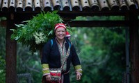 ザオ族の女性 伝統的な薬草風呂を商品化 貧困解消を図る