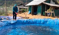 ライチャウ省タムドウオン県での魚養殖の開発