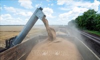 ウクライナ産穀物の輸送経路を準備　ポーランド大統領