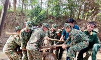 ベトナムにおける戦争後の地雷・不発弾による被害の克服作業