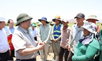 チン首相、ニントゥアン省の干ばつ対策を視察し対応を指示