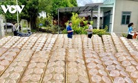 コメ煎餅作りの開発をめざすアンガイ村の取り組み