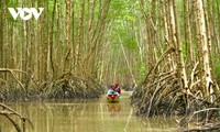 カマウ省におけるマングローブ林等の持続可能な開発