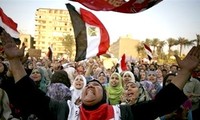 Partai-partai politik di Mesir  mencapai permufakatan tentang pembentukan Dewan Konstitusional