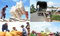 Vietnam  mengekspor kira-kira 4 juta ton  beras dari awal tahun sampai sekarang