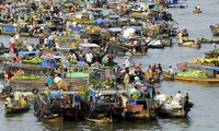 Mendorong kuat pengembangan  sosial-ekonomi  di daerah dataran rendah  sungai Mekong.