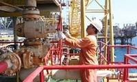 Perusahaan patungan bidang permigasan Vietnam-Rusia (Vietsovpetro) berupaya  mengeksploitasi kira-kira 5,4 juta ton minyak kasar.