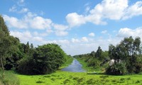 Memberikan sertifikat  Taman Pusaka ASEAN kepada  Taman Nasional U Minh Thuong.