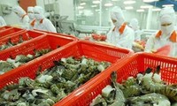  Mengenakan tarif subsidi  adalah  tidak masuk akal terhadap badan-badan  usaha  pengolahandan ekspor udang Vietnam.