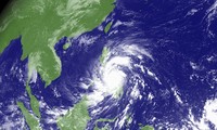 Supratauphan Haiyan mendarat di Filipina, sehingga menimbulkan banyak kerugian.