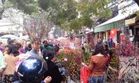 Musim Semi -2014 sedang mendekati warga kota Hanoi