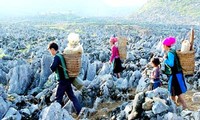 Daerah dataran tinggi Dong Van  menyerap kedatangan ribuan wisatawan  selama 3 Hari Raya Tet