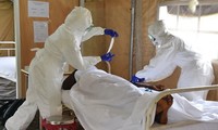WHO membuat  rencana strategis untuk menghadapi wabah Ebola
