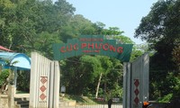 Perjalanan  mencari pengalaman  yang atraktif di Taman Nasional Cuc Phuong
