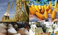 Mendorong ekspor berbagai jenis barang hasil pertanian, perikanan dan  bahan makanan Vietnam  ke Singapura.