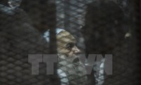 Mesir memvonis hukumanmati terhadap 8 orang dengan tuduhan melakukan serangan teror