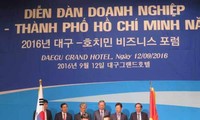 Lebih dari 30 badan usaha Republik Korea  melakukan investasi di kota Ho Chi Minh