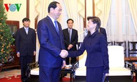 Presiden Vietnam, Tran Dai Quang  menerima Duta Besar Singapura, Cathenine Wong yang melakukan kunjungan kehormatan