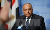 Mesir dan UAE membentuk mekanisme konsultasi politik bilateral