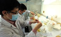 Vietnam berbagi pengalaman dengan komunitas internasional tentang penerapan ilmu kedokteran nuklir dalam pemeriksaan dan pengobatan