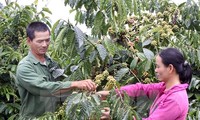 Vietnam mendukung  “gagasan tentang dekade pertanian kepala keluarga”