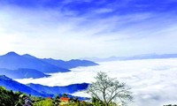 Daerah dataran tinggi Sin Ho: Keindahan yang masih liar di daerah pegunungan dan hutan Tay Bac