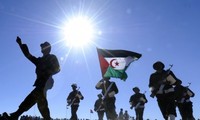 PBB berseru kepada Maroko dan Front Polisario supaya mengadakan kembali perundingan politik