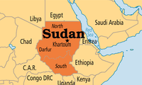 Sudan dan Sudan Selatan membentuk pasukan pengawas bersama di kawasan yang dipersengketakan