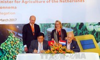 Penanggulangan perubahan iklim dan kerjasama pertanian: Bidang kerjasama efektif antara Vietnam-Belanda