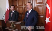Ketegangan diplomatik di Teluk : Qatar dan Turki berupaya keras untuk menemukan solusi