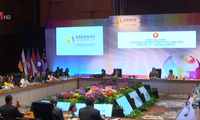 Konferensi tingkat Menlu  untuk persiapan bari  KTT ASEAN kali ke-31 dan semua KTT yang bersangkutan
