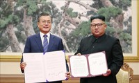 Pemerintah Republik Korea  mengesahkan permufakatan pertemuan puncak antar-Korea