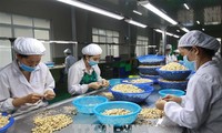 Viet Nam-India mendorong  visi baru bagi kerjasama pertanian