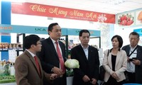 Badan-badan usaha Jepang mencari peluang  kerjasama  investasi pada hasil pertanian Viet Nam