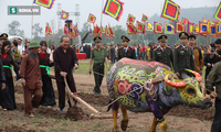 Deputi Harian PM Truong Hoa Binh menghadiri dan melaksanakan ritual membajak tanah di Provinsi Ha Nam
