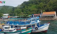Membentuk  Badan Pengarahan Nasional  tentang pemberantasan eksploitasi  perikanan ilegal (IUU)