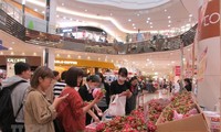 Produk-produk Viet Nam terus diperkenalkan  kepada para konsumen Jepang