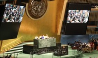 Opini umum internasional  tentang  terpilihnya Vietnam menjadi Anggota Tidak Tetap DK PBB