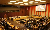 Vietnam  memegang secara sukses  posisi sebagai Ketua DK PBB untuk bulan Januari 2020