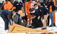 Jatuhnya pesawat terbang di Indonesia: Tetapkan Identitas 12 korban