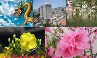 La communauté des Vietnamiens à l'étranger fête le Têt
