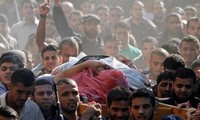 Efforts internationaux pour mettre fin au conflit dans la bande de Gaza