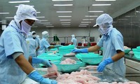 Taxe surélevée et absurde sur les pangas vietnamiens exportés aux Etats-Unis