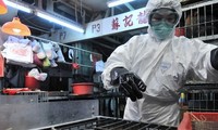 Contrôle de la prévention de l’épidémie de grippe A H7N9