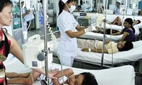 Le Vietnam célèbre la Journée aséanienne de prévention et de lutte contre la fièvre hémorragique