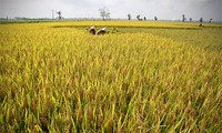 International community praises Vietnamese agriculture