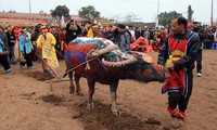 Tich Dien festival boosts agricultural development