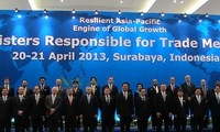 Vietnam contributes to APEC trade ministers' meeting