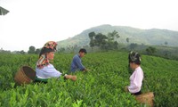 Vietnam Farmers’ Association’s role in building new rural areas